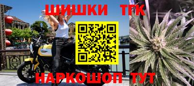 прущие грибы Бийск