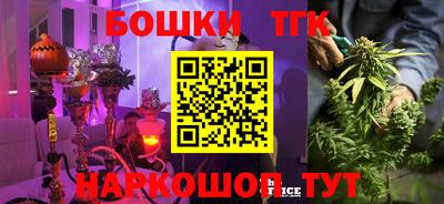 прущие грибы Бийск