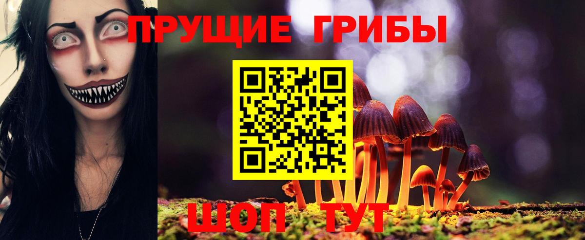 Кизилюрт  Псилоцибиновые грибы GOLDEN TEACHER  Вход с VPN  Псилоцибиновые грибы Cubensis 