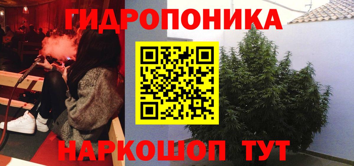Кизилюрт  Конопля сатива  Марихуана LSD WEED  Каннабис VHQ  Вход с VPN 